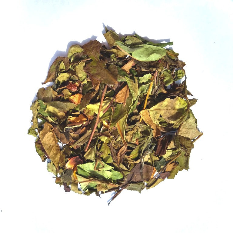 Rhapsody In Blue - Organic Loose Tea - Good Life Tea