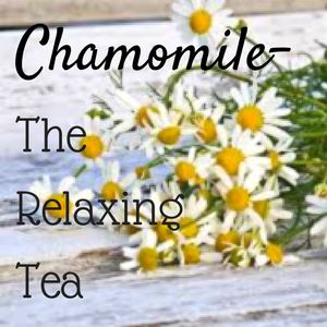 Chamomile: The Relaxing Tea
