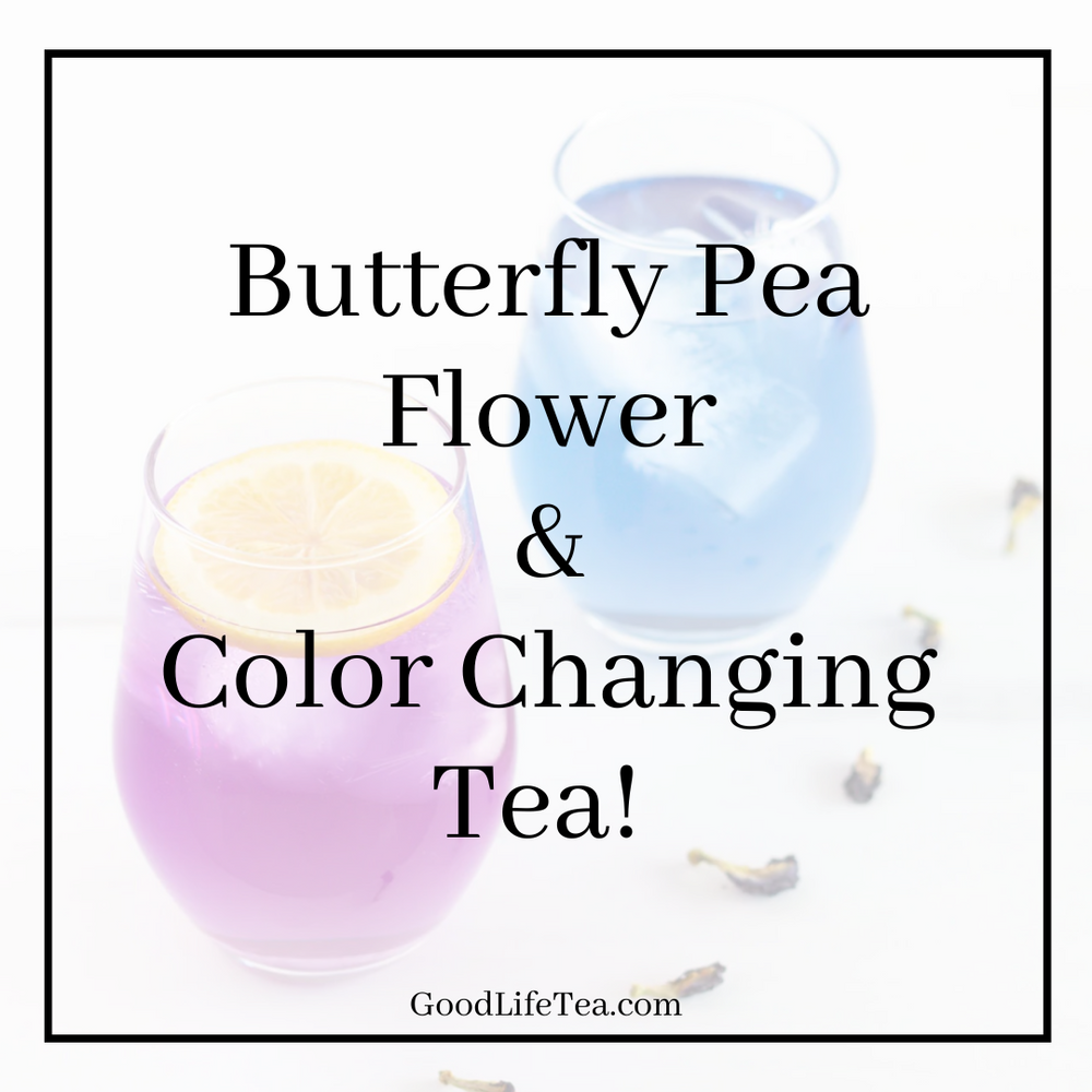 Butterfly Pea Flower and Color Changing Tea!
