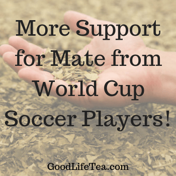 Fútbol & Mate