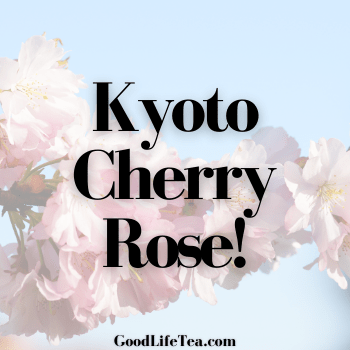 Kyoto Cherry Rose!