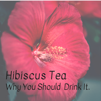 Hibiscus Tea and Why You Should Drink It.