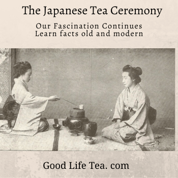 Our Fascination with the Japanese Tea Ceremony