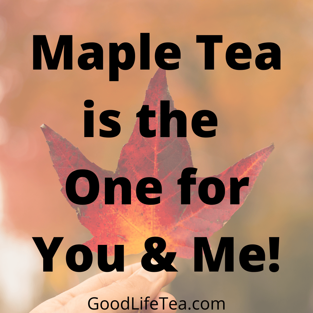 Make Maple Tea Your New Favorite! – Good Life Tea