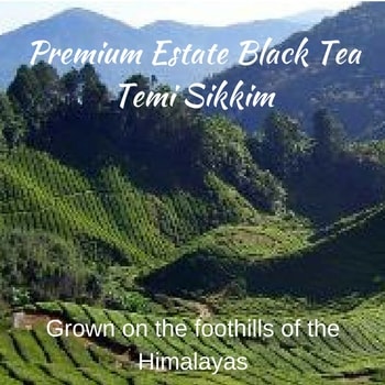 Temi Sikkim - A Coveted Indian Loose Leaf Tea – Good Life Tea