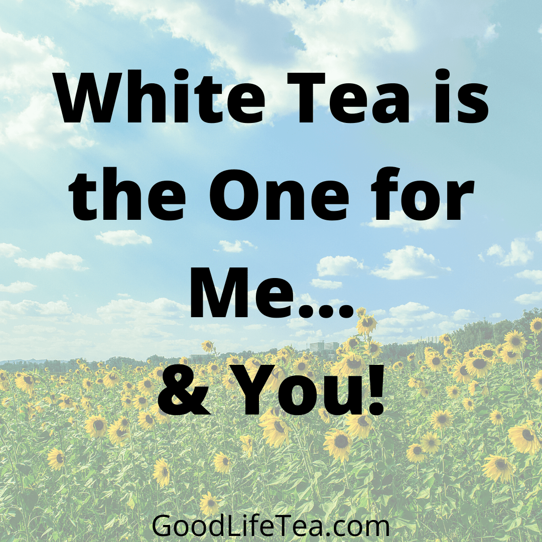 White Tea is for Me... & You!