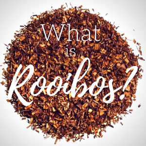 Have You Heard of Rooibos?