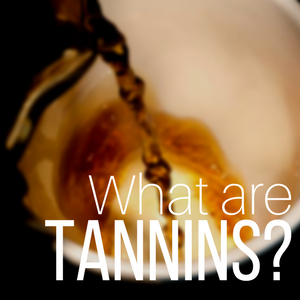 What are Tannins? Why are they in my tea?