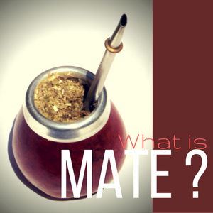 What is Mate? – Good Life Tea