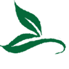 logo of Loose Leaf Teas: Green Tea, Black Tea, White Tea | Good Life Tea