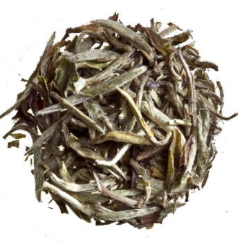 Chinese Silver Needle - Loose Tea - Good Life Tea